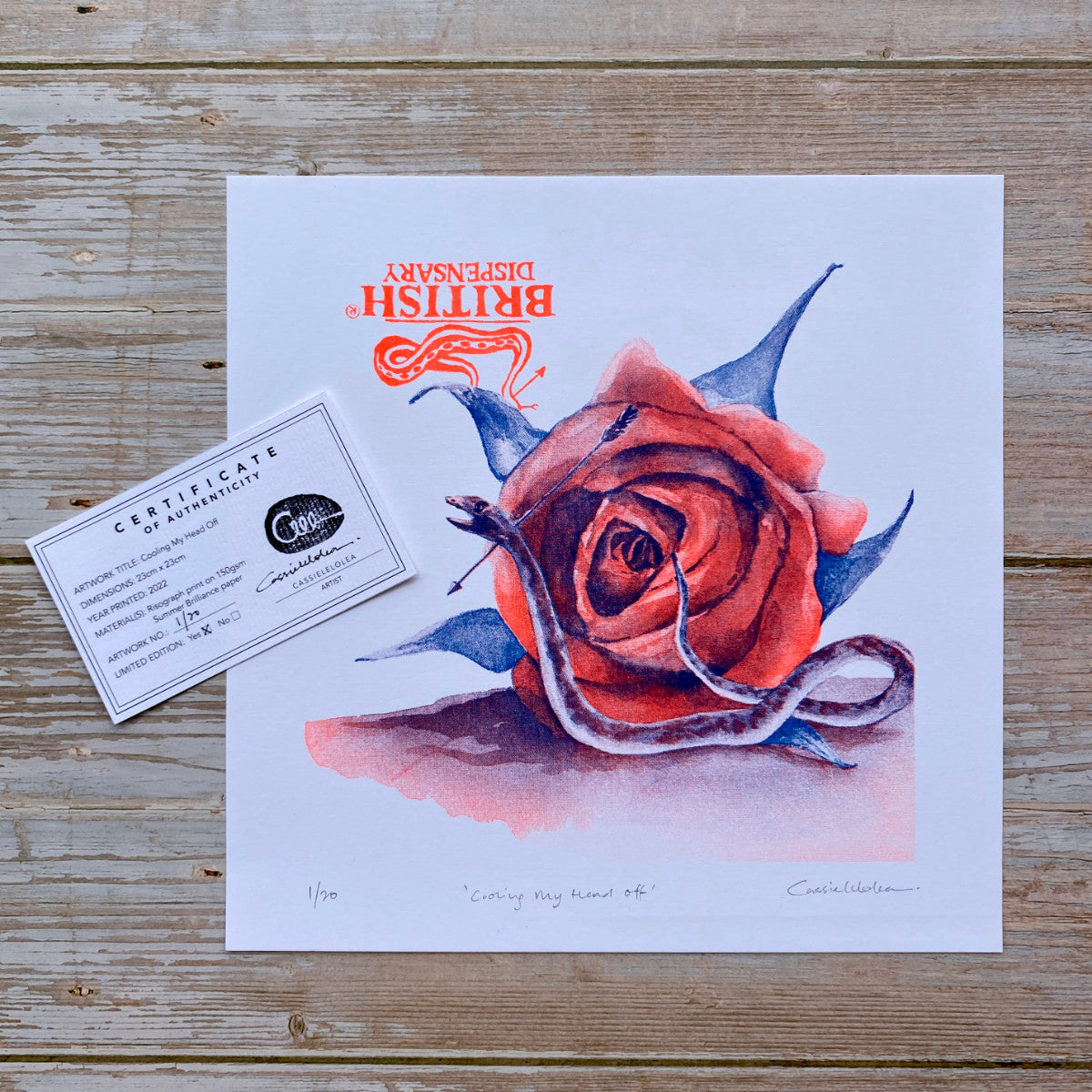 "Cooling My Head Off" | Limited Risograph Print by Cassielelolea