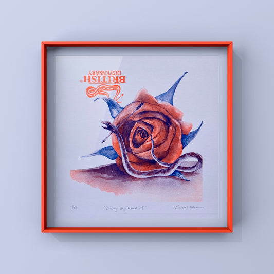 "Cooling My Head Off" | Limited Risograph Print by Cassielelolea