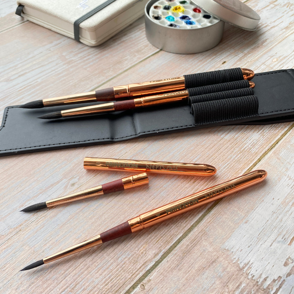Princeton Neptune 4750 Series Travel Brush