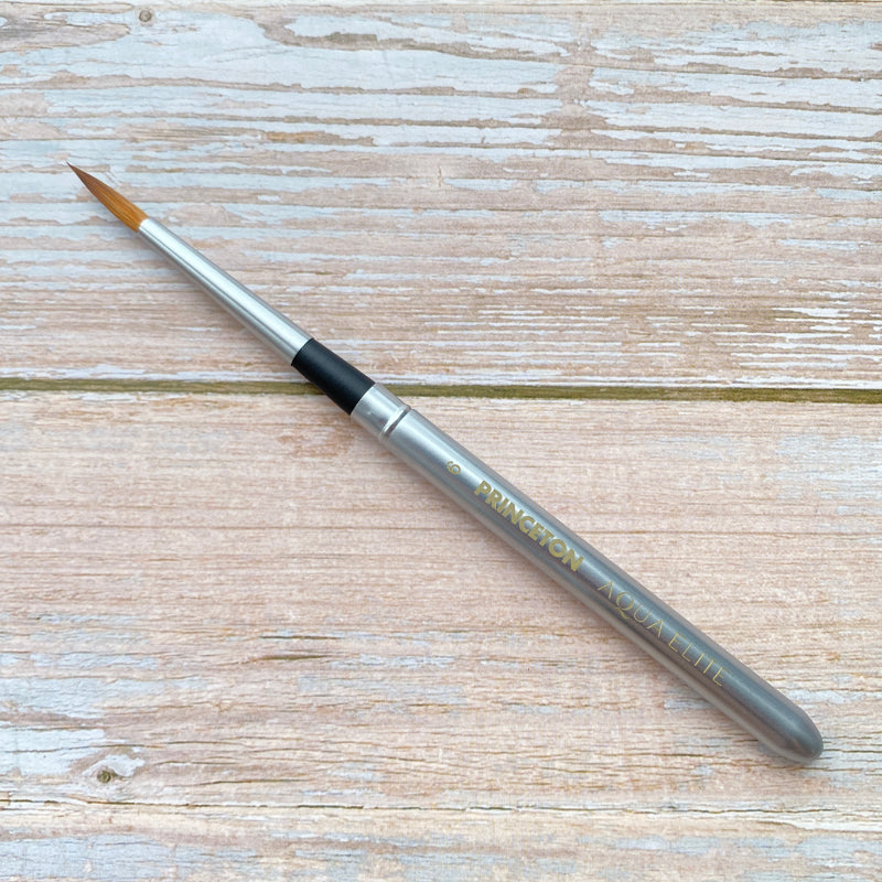 Princeton Aqua Elite 4850 Series Travel Brush