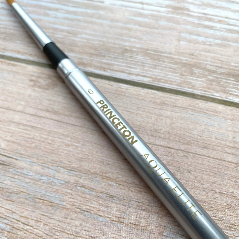 Princeton Aqua Elite 4850 Series Travel Brush