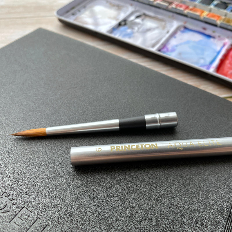 Princeton Aqua Elite 4850 Series Travel Brush