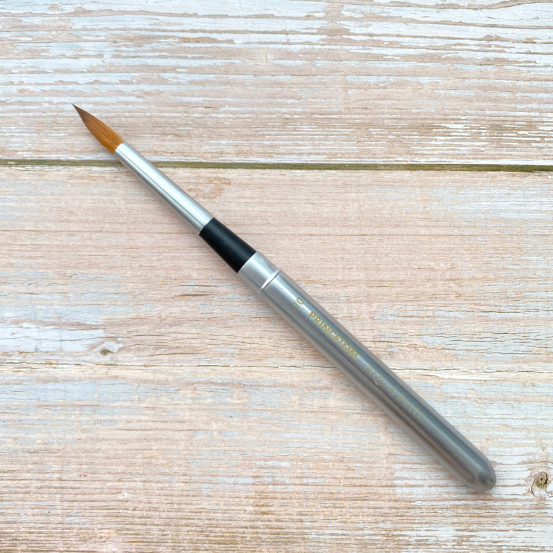 Princeton Aqua Elite 4850 Series Travel Brush