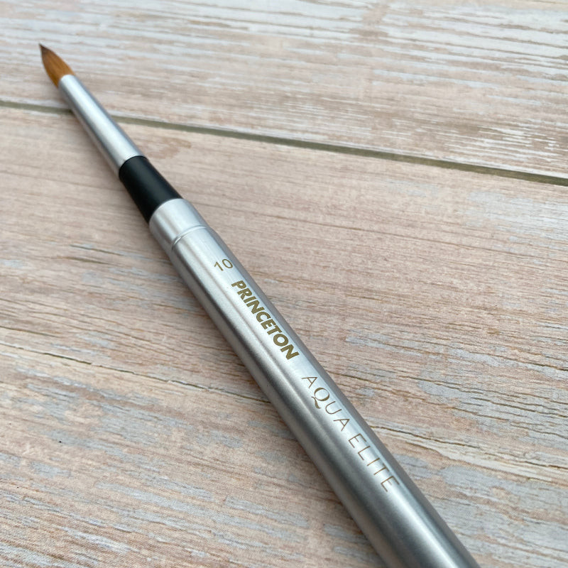 Princeton Aqua Elite 4850 Series Travel Brush