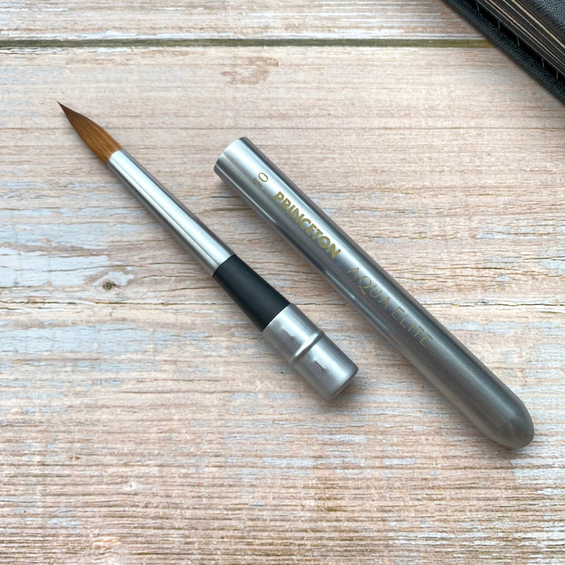 Princeton Aqua Elite 4850 Series Travel Brush