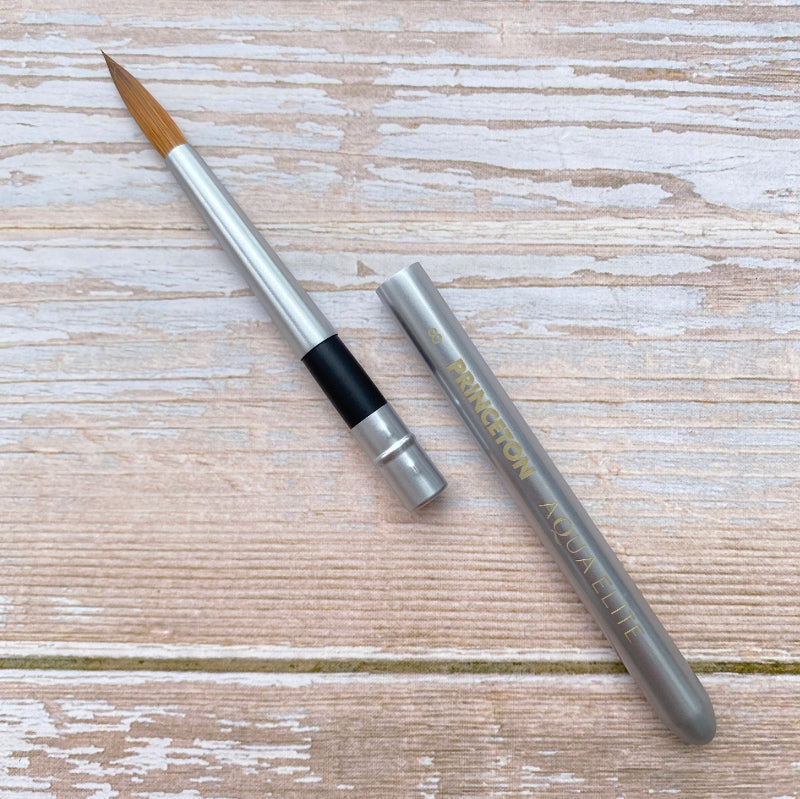 Princeton Aqua Elite 4850 Series Travel Brush