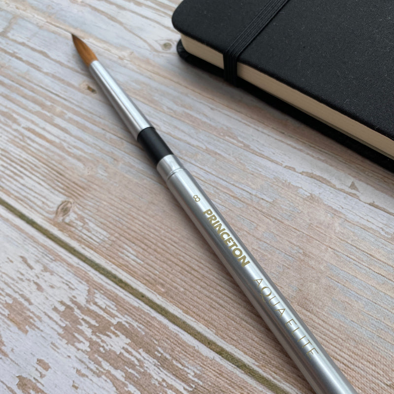 Princeton Aqua Elite 4850 Series Travel Brush